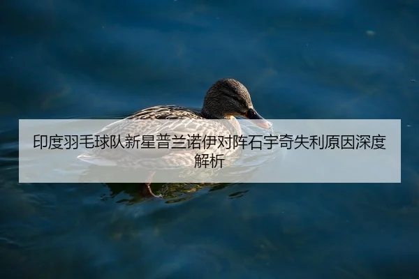 印度羽毛球队新星普兰诺伊对阵石宇奇失利原因深度解析